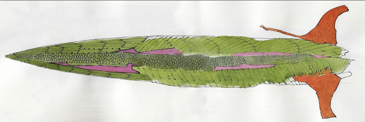 Slide 21